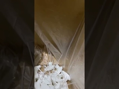 بخاخ الزناد